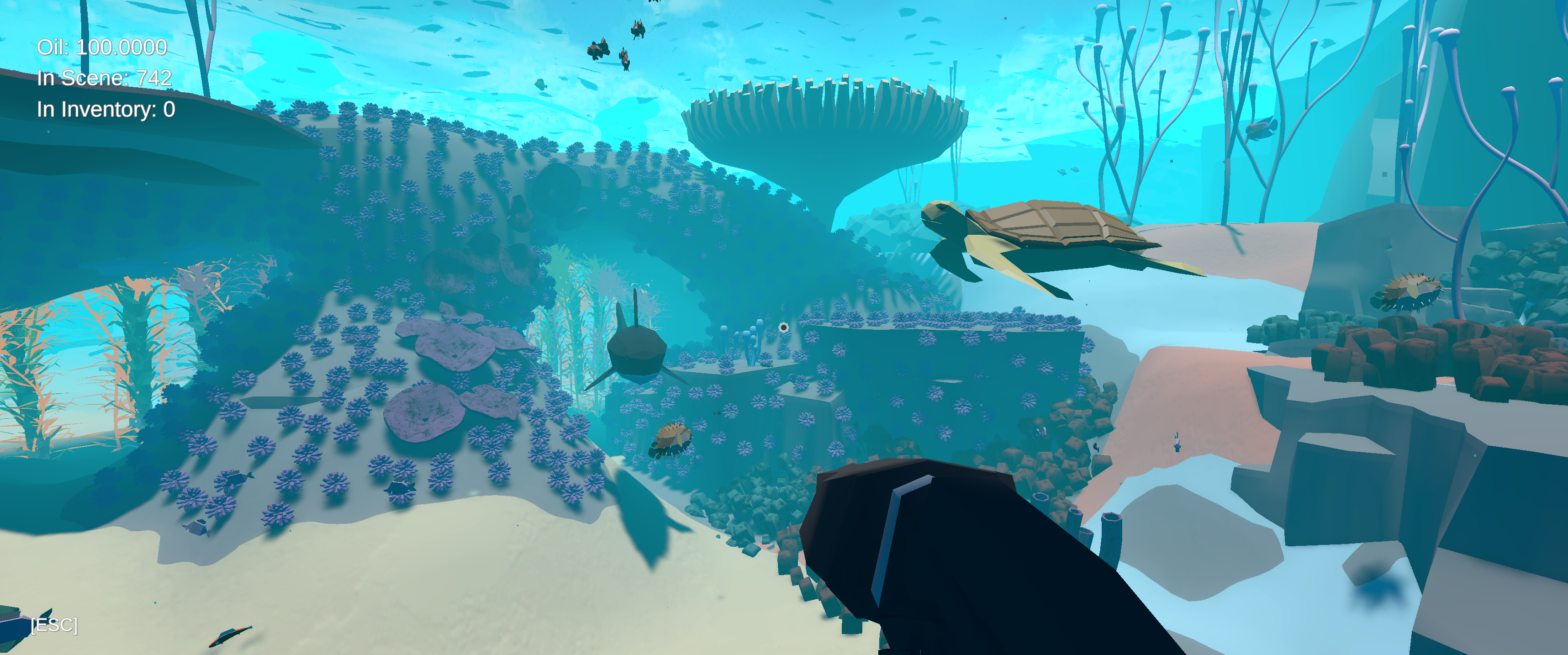 Reef
